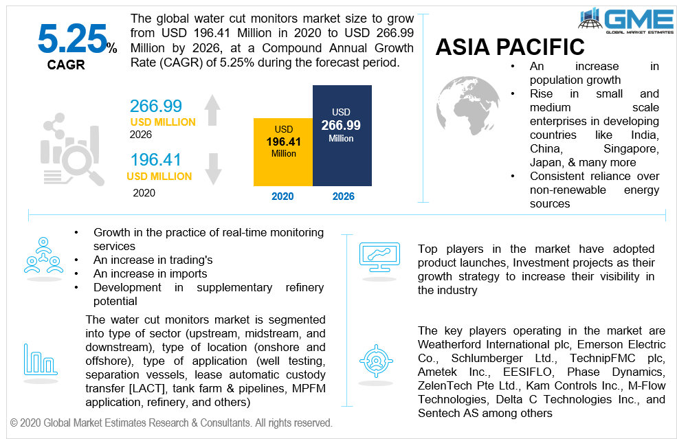 Water Cut Monitors Market